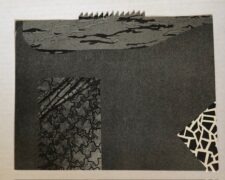 IMG_5391 IMG_5391